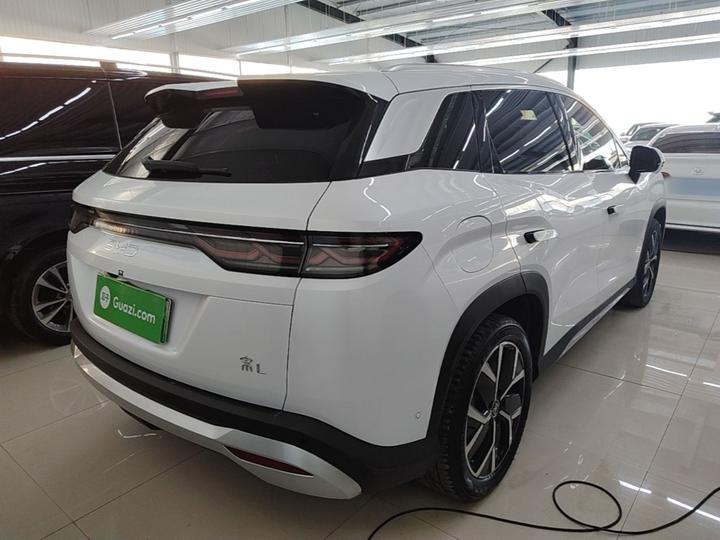 Song L DM-i 2024 160km Excellence photo 6