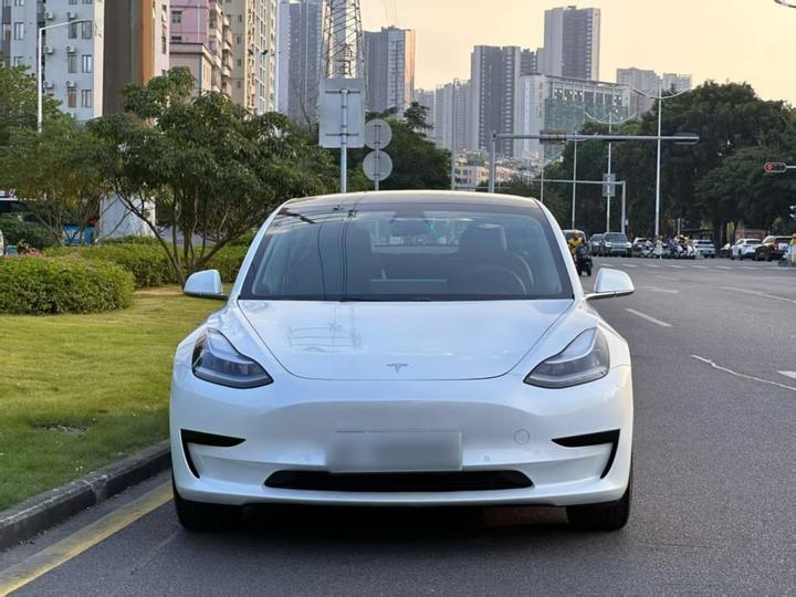Model 3 Imported 2019 Standard Range RWD Upgraded 52 photo 2