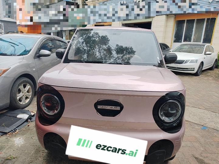 2024 Panda mini 200km Endurance Bear photo 2