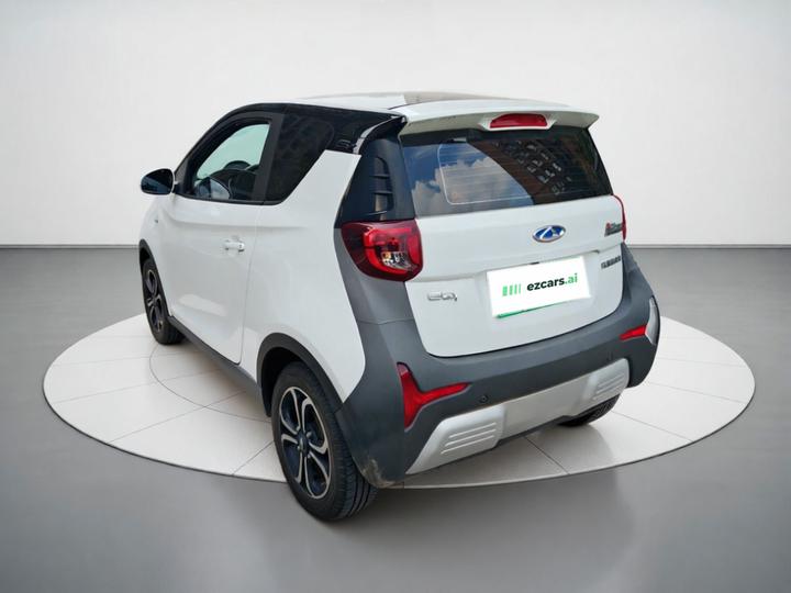 QQ Little Ant 2021 15 LFP photo 4