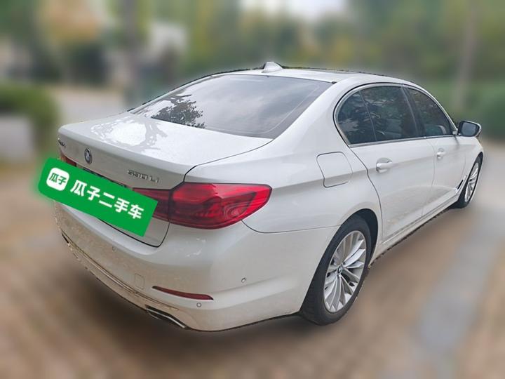 5 Series 2019 530Li Leading Luxury photo 6