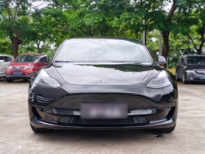Model 3 2021 Facelift Standard Range RWD Upgraded 3D1 photo 2
