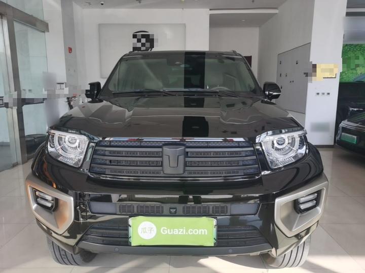 700 EV 2024 Hi4-T photo 2