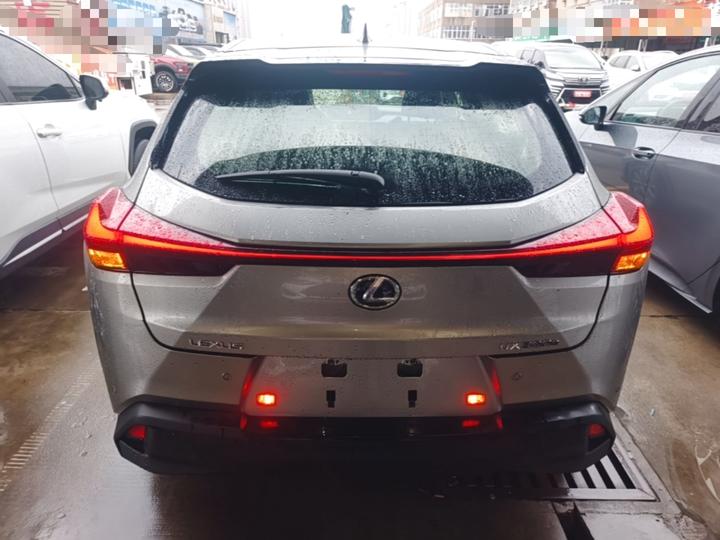 UX EV 2020 300e photo 5