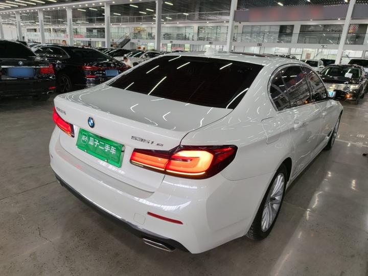 5 Series EV 2021 535Le Luxury photo 4