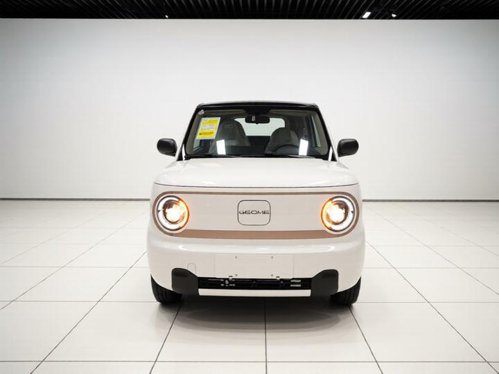 2024 Panda mini 200km Endurance Bear photo 2
