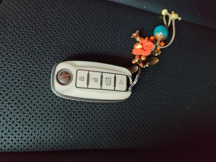 D60 2018 1.6L CVT Connected Luxury photo 8
