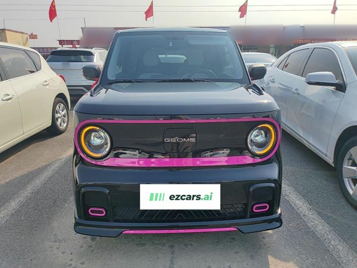 2025 210km Panda photo 2