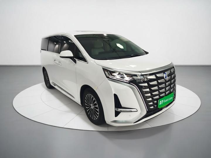D9 2024 DM-i 980 AWD Noble photo 3