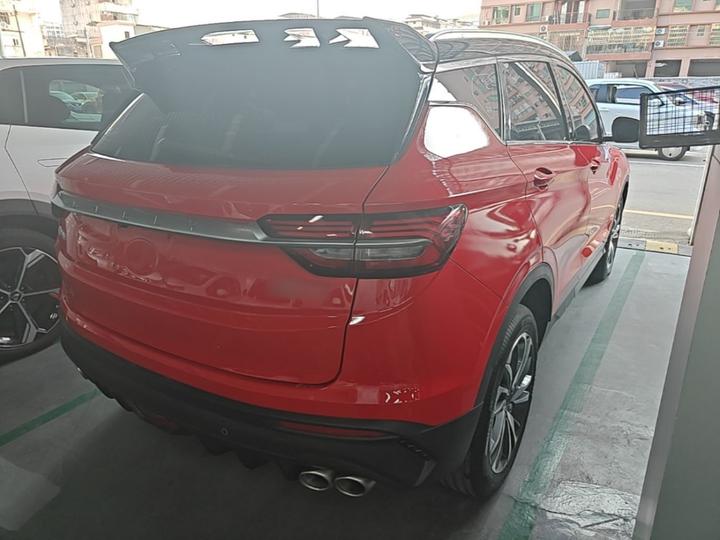 Binyue 2020 PRO 260T DCT photo 6