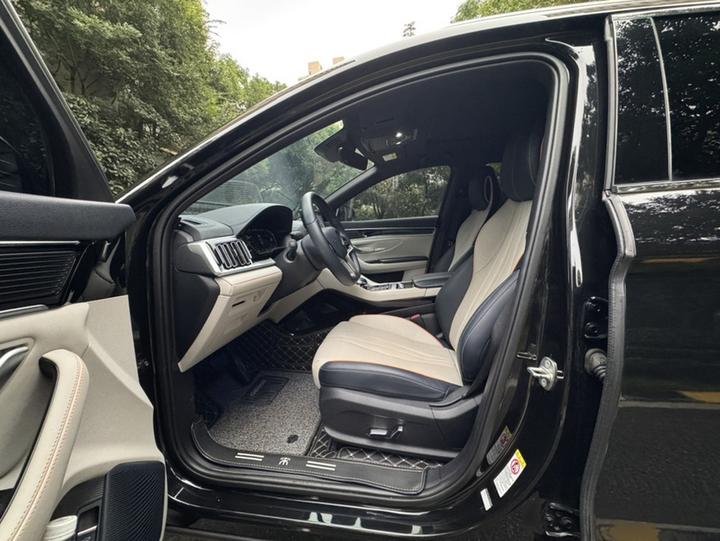 Song PLUS EV 2021 DM-i 110KM Flagship PLUS photo 6