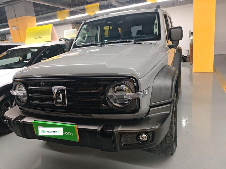 300 2021 Off-road 2.0T Conqueror photo 2