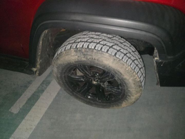 300 2021 Off-road 2.0T Conqueror photo 8
