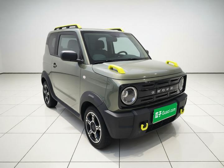 2025 210km Panda photo 3