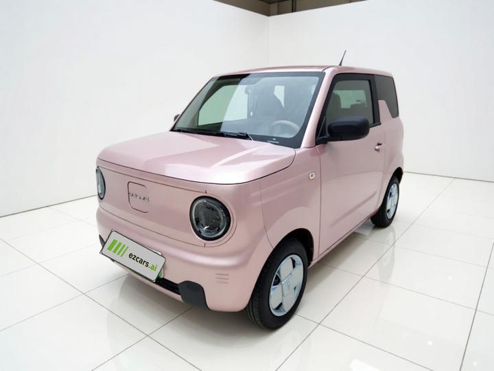 2024 Panda mini 200km Endurance Bear