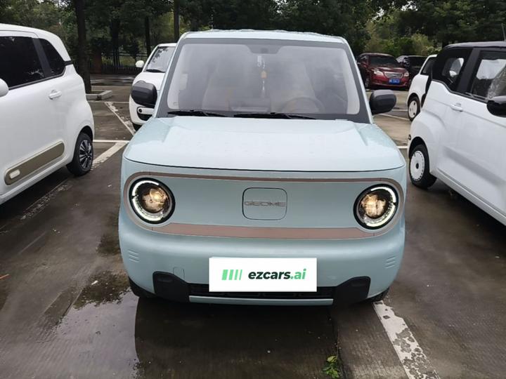 2024 Panda mini 200km Endurance Bear photo 2