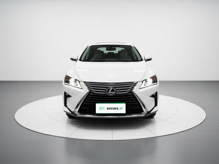 RX 2016 300 RWD Elite China V photo 2