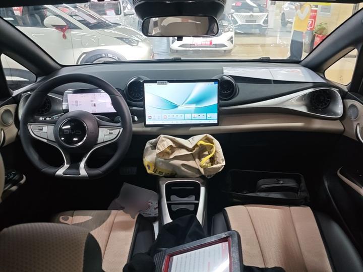 Dolphin 2025 ADAS 420km photo 5