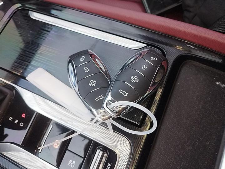 H5 PHEV 2025 130 photo 8