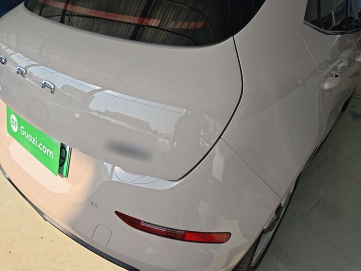 Good Cat 2023 401km Standard Range Luxury LFP photo 7
