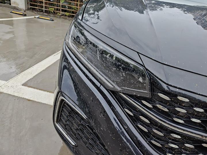 Passat 2023 330TSI Elite photo 7