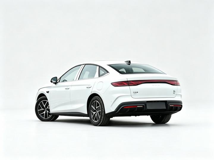 Qin L 2026 DM-i 210KM photo 4