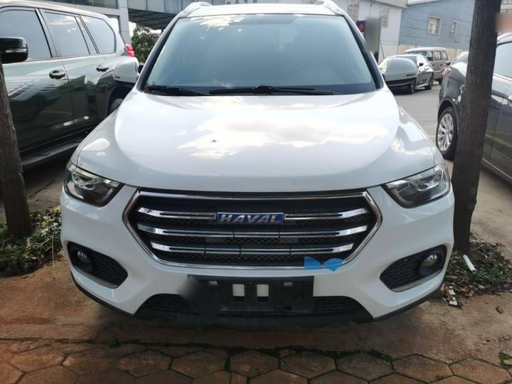 H6 2018 Blue Label Sport 1.5T AT RWD Elite photo 2