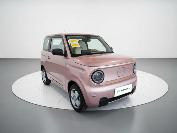 2024 Panda mini 200km Endurance Bear photo 3