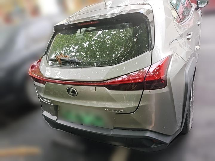 UX EV 2020 300e photo 3