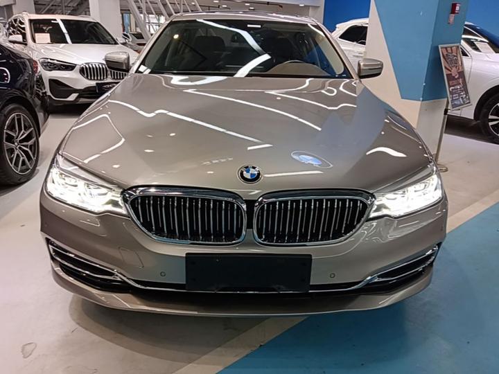 5 Series 2020 530Li Leading Luxury photo 2