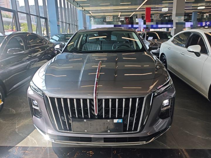 H5 PHEV 2025 170 photo 2