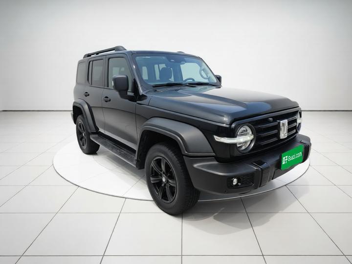 300 2021 Off-road 2.0T Conqueror photo 3