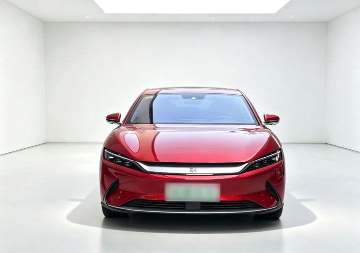 Han 2020 EV AWD Performance Flagship photo 3