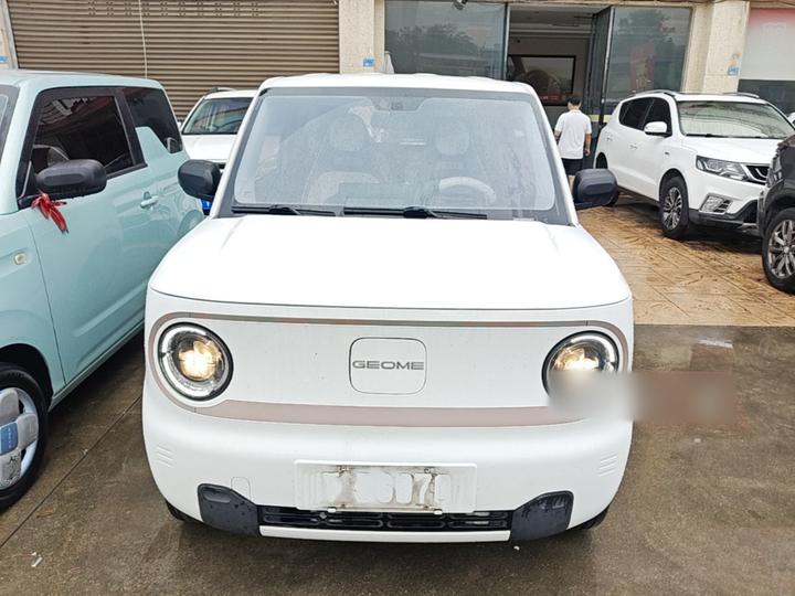 2023 Panda mini 200km Endurance Bear photo 2