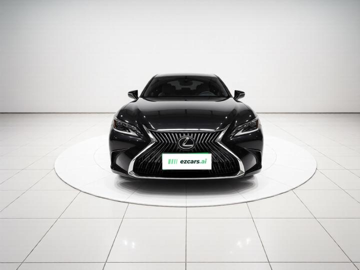 ES 2020 300h Executive photo 2
