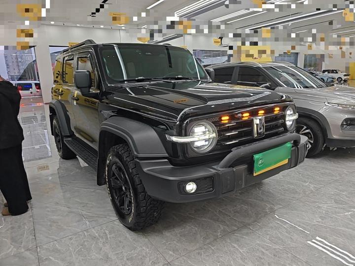 300 2023 Off-road 2.0T photo 3