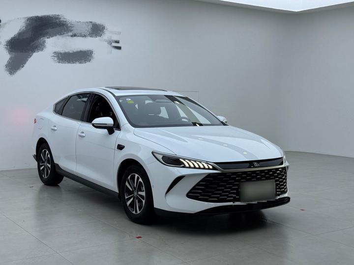Qin PLUS 2025 DM-i ADAS 55KM photo 3