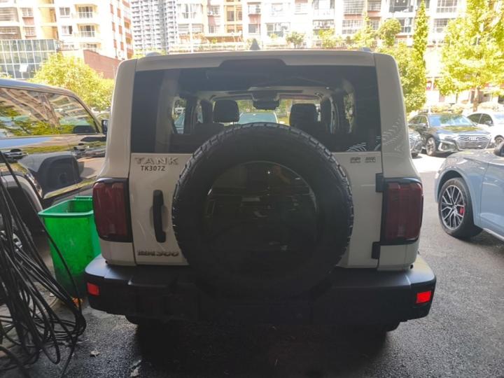 300 2021 Off-road 2.0T photo 2