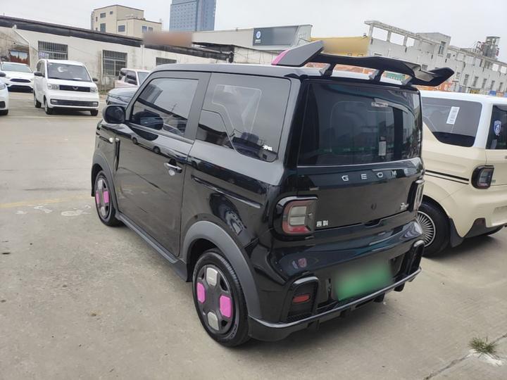 2025 210km Panda photo 4