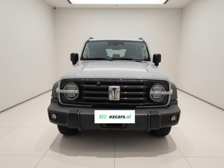 300 2021 Off-road 2.0T Conqueror photo 2