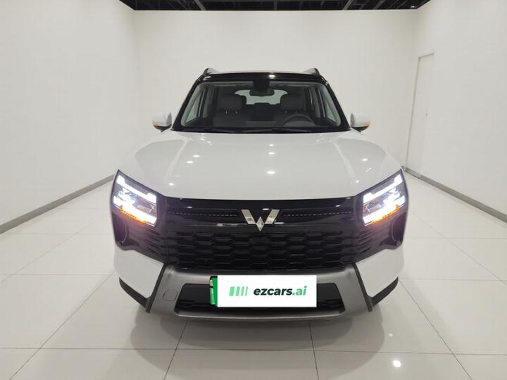 560 EV 2026 125km Luxury photo 2
