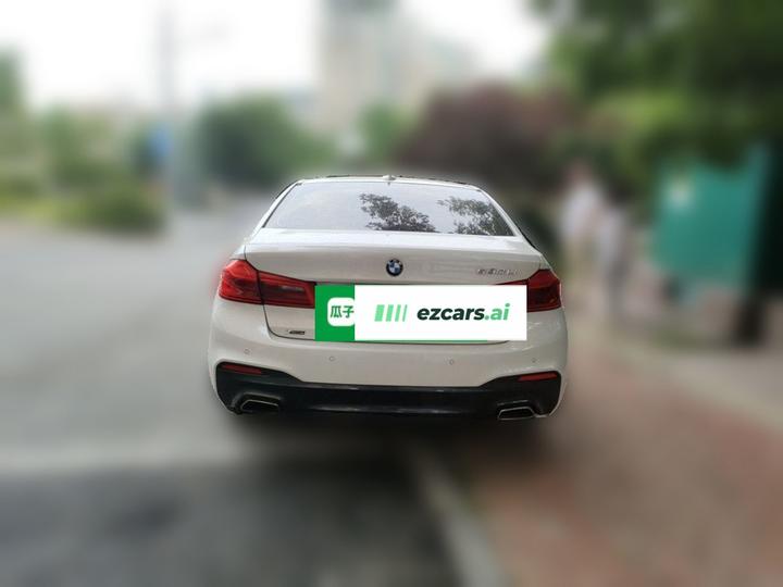 5 Series 2018 530Li xDrive M Sport Package photo 5