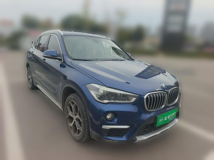 X1 2018 xDrive20Li Luxury photo 3