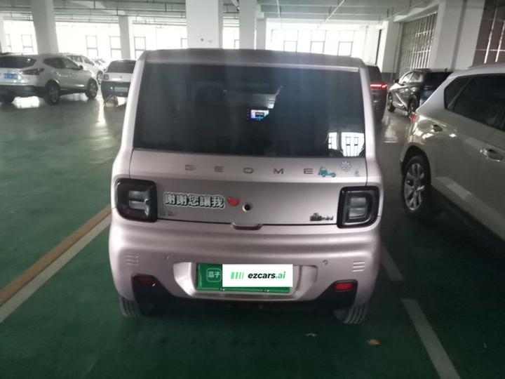 2023 Panda mini 200km Endurance Bear photo 6