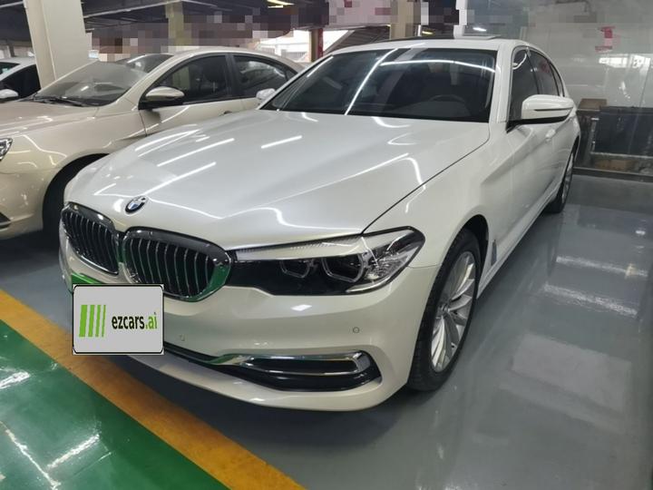 5 Series 2019 525Li Luxury