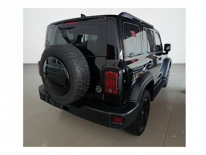 300 2021 Off-road 2.0T Conqueror photo 6
