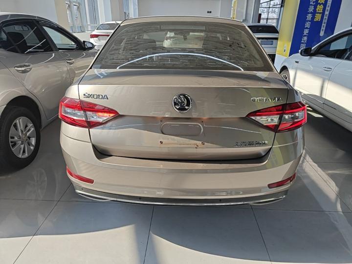 Octavia 2019 TSI230 DSG Luxury China V photo 5