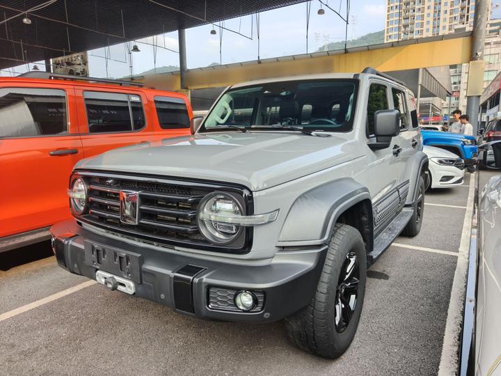 300 2021 Off-road 2.0T Conqueror