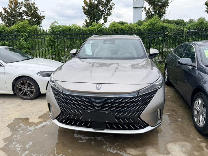 RX5 EV 2023 eRX5 photo 4
