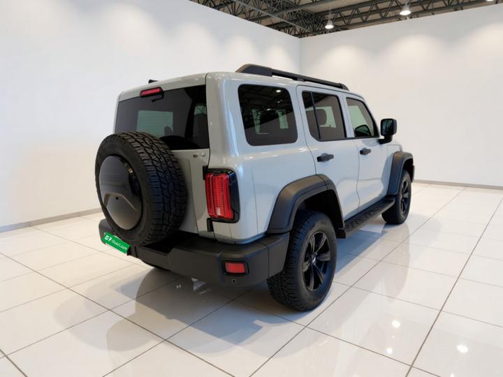 300 2021 Off-road 2.0T photo 6